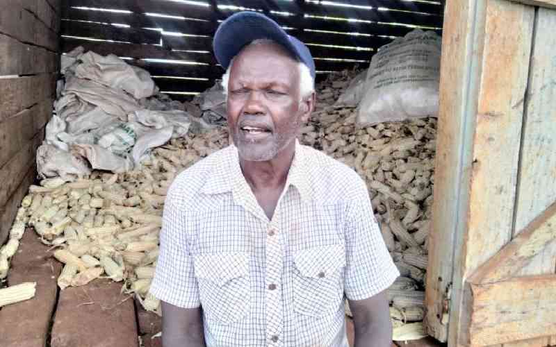 We have chosen to grow grass over maize, farmers say as drought bites