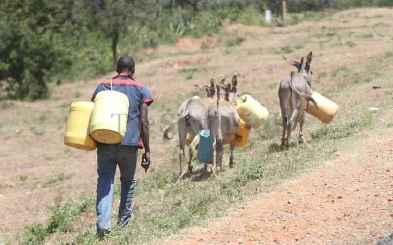 Kericho man sparks reactions after calling fundraiser to buy donkey