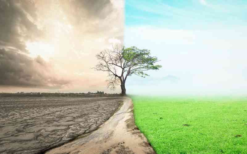 Africa pushes for climate just...