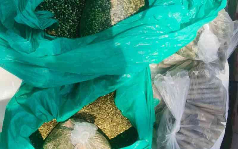 Police bust drug den beside Awelo Primary in NACADA crackdown