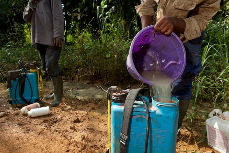 Kenyans health at risk with use of dangerous pesticide