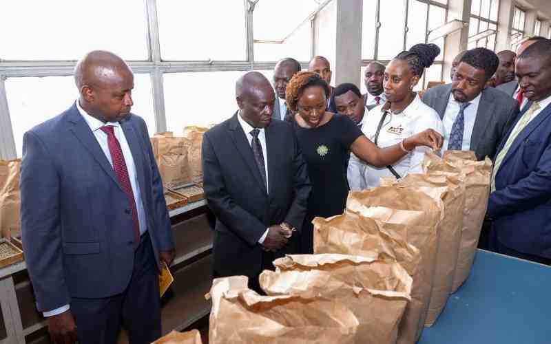 It's smallholders who will reap big from 'Gachagua' Coffee Bill