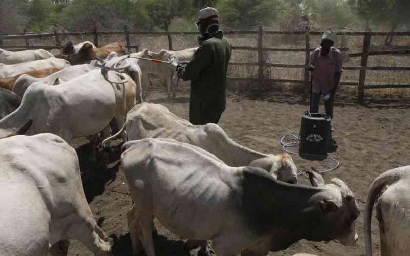 Trypanosomiasis threatens livestock and agricultural production