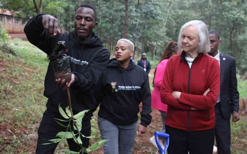 US supports Kenya's greening agenda