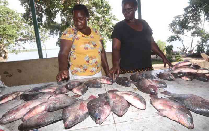 Government moves to increase earnings from fishing sector
