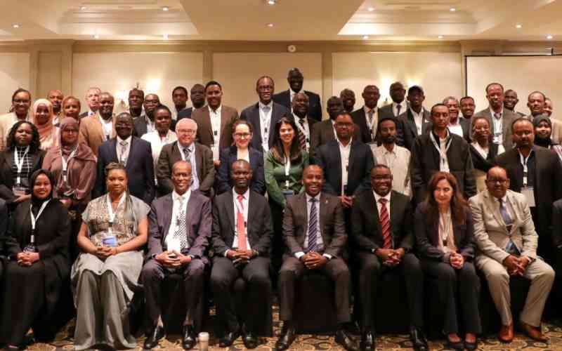 Eastern Africa pushes for seamless digital integration