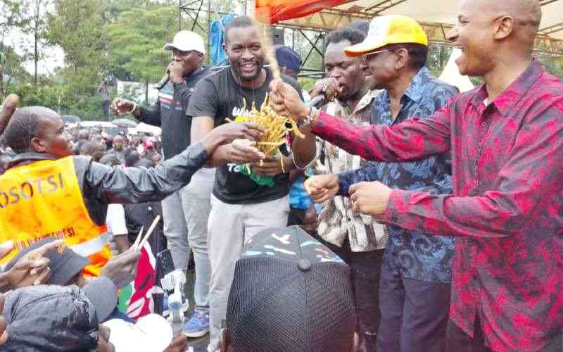 We will not be cowed: Linda Mwananchi storms Vihiga with show of force