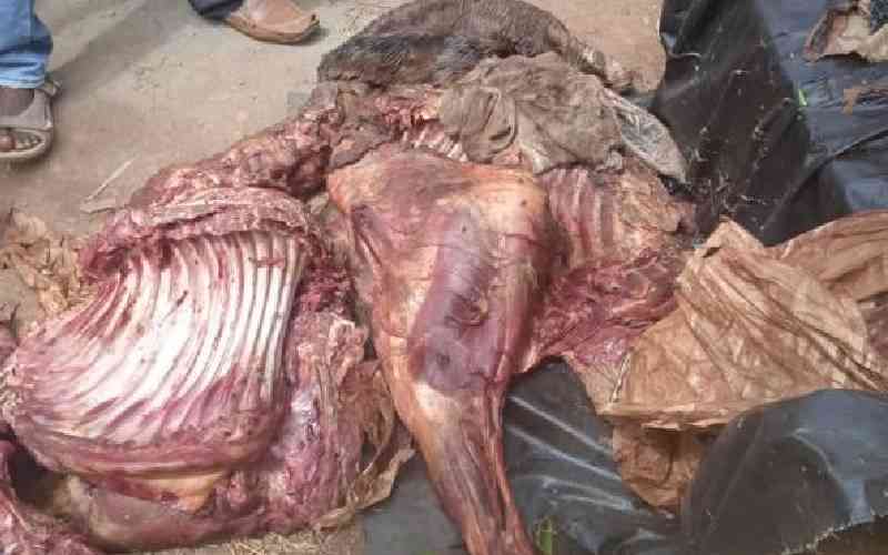 One person arrested,20 Donkey skins,meat found in his vehicle