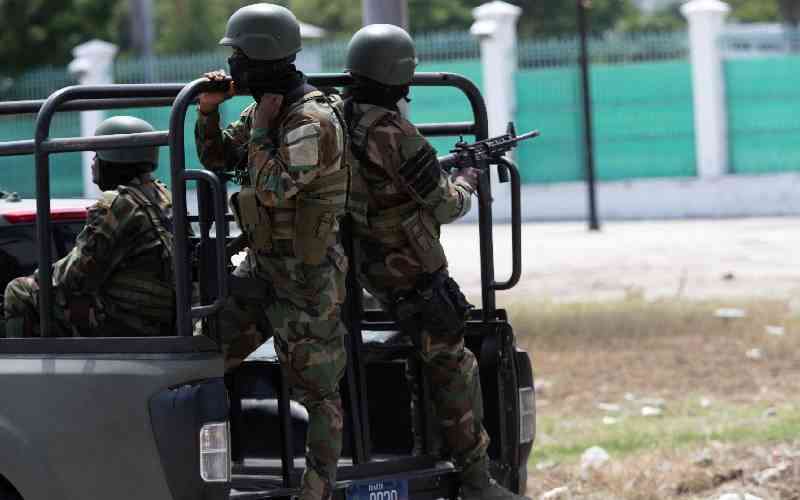 Haiti force deputy deployed to deal with cattle rustlers