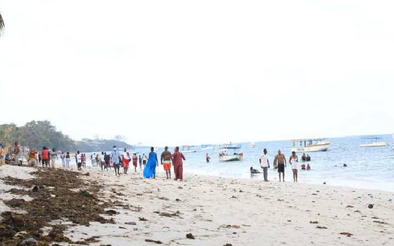 Hoteliers hail campaign to eradicate invasive birds at Coast