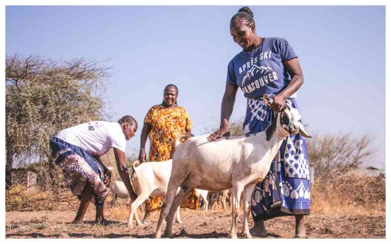 From charcoal to goats: How goats are changing Isiolo's women's lives
