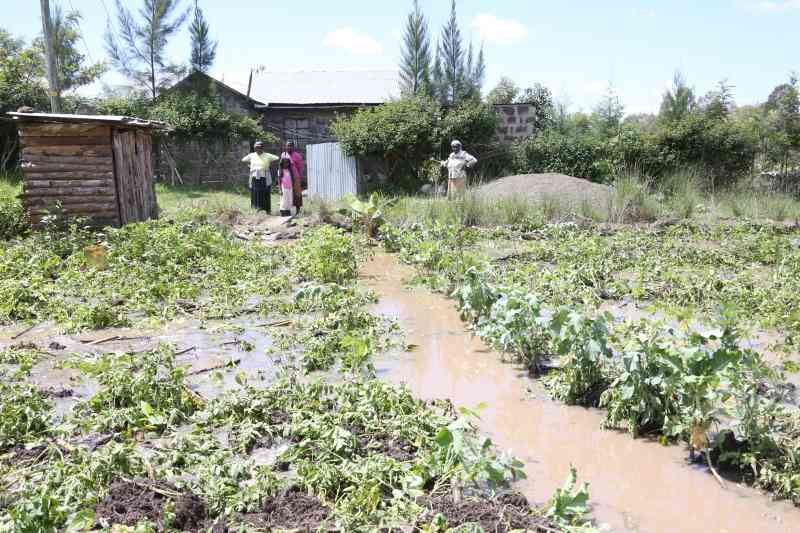 El Nino floods deal major blow to farmers