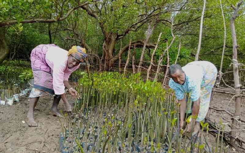 Community conservation efforts...