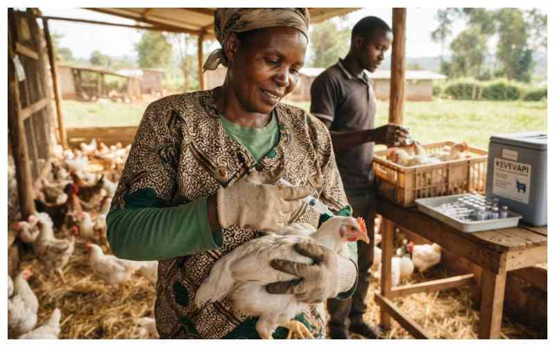 Regular vaccination key for healthy birds