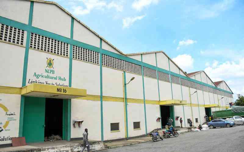 Senate team: Sh10b debt killing NCPB ahead of harvest season
