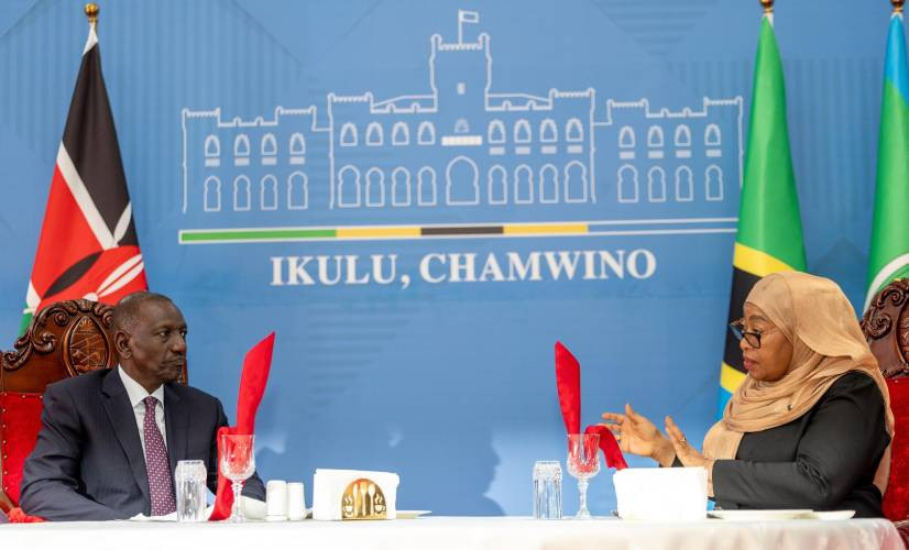 Rights groups condemn Suluhu's remarks on clamping down Gen Z