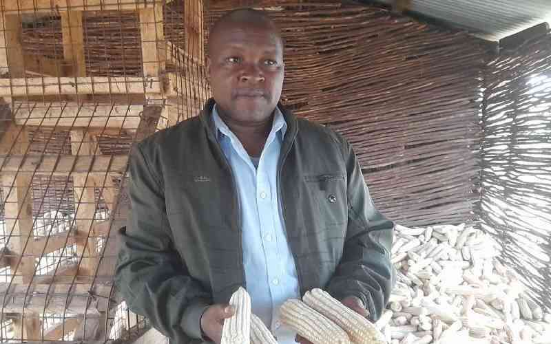 Teacher builds maize dryer that can store over 150 bags for one year