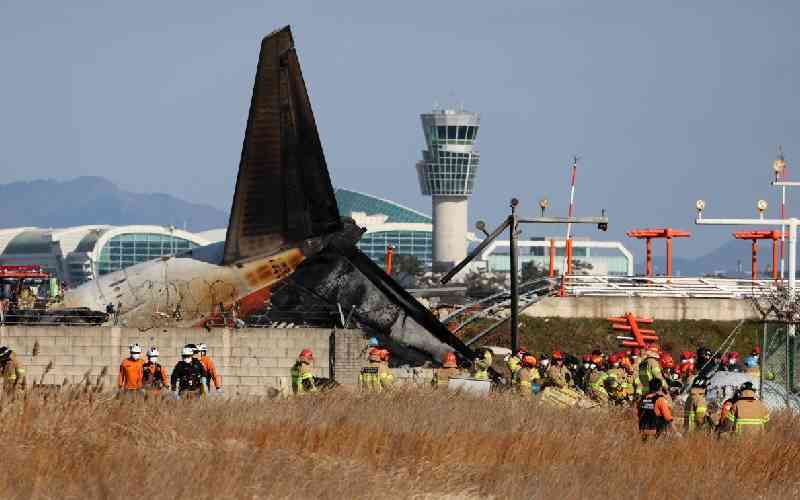 Plane with 181 on board crashes in South Korea, killing 85