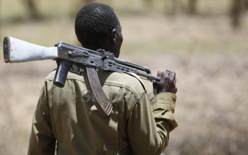 Five ways to end cattle rustling menace in northern Rift Valley