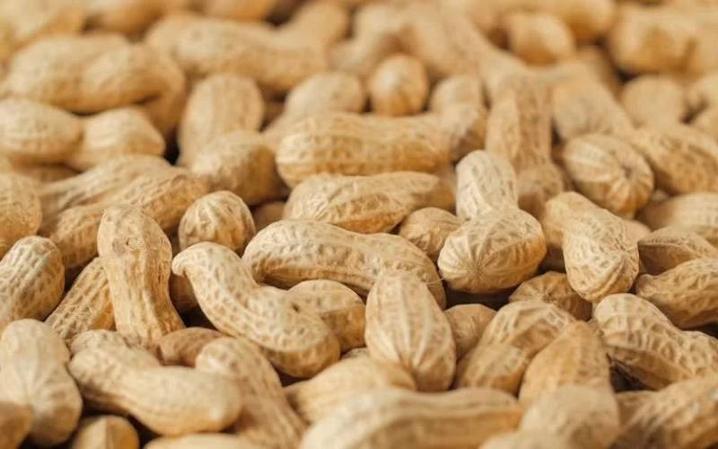 Teen's groundnut idea to outsmart climate change