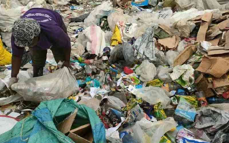 New push to formalise garbage collection SMEs