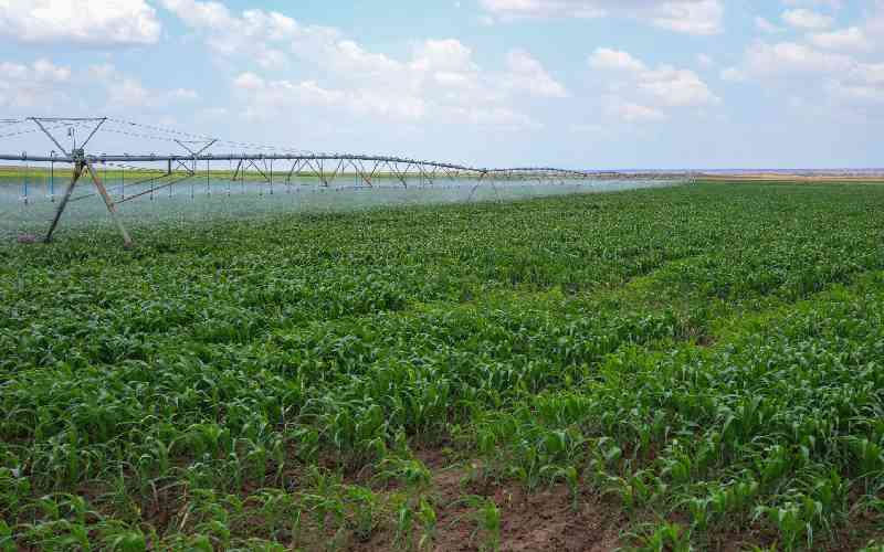Africa won't transform food systems without investing in water