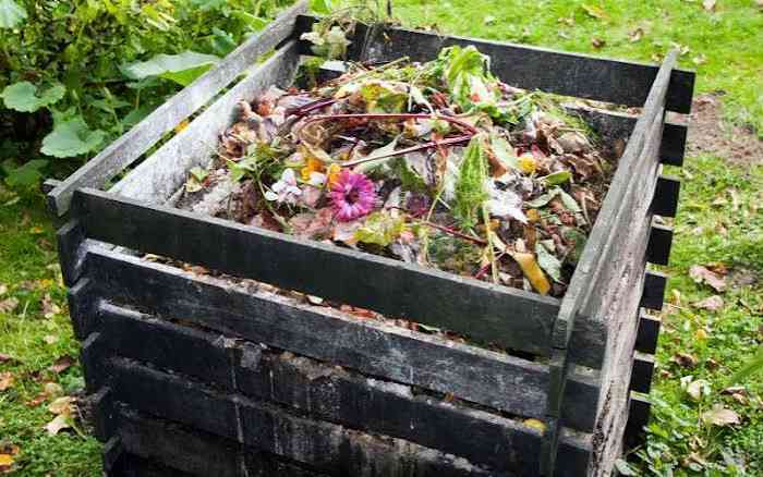 Turning farm waste into wealth: Counties bet on agricultural recycling