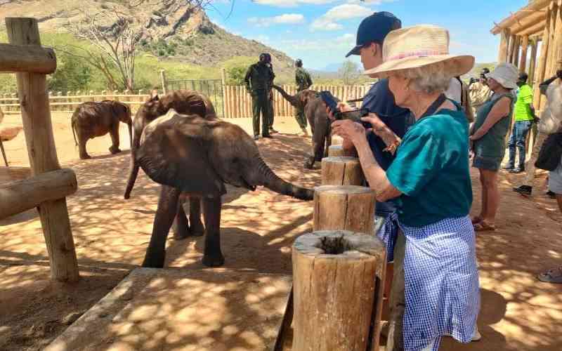 Private sector's role in developing Kenya's niche tourism