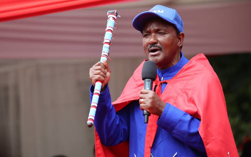 Kalonzo calls out Ruto over escalating political violence
