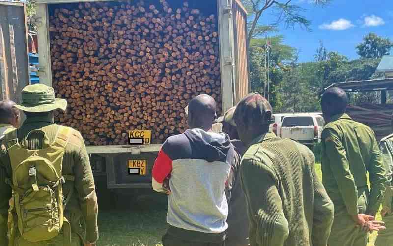 The struggle to protect Kenya's last indigenous woodland
