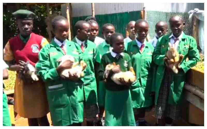 Radical schools' agricultural project eases technology transfer to learners, families