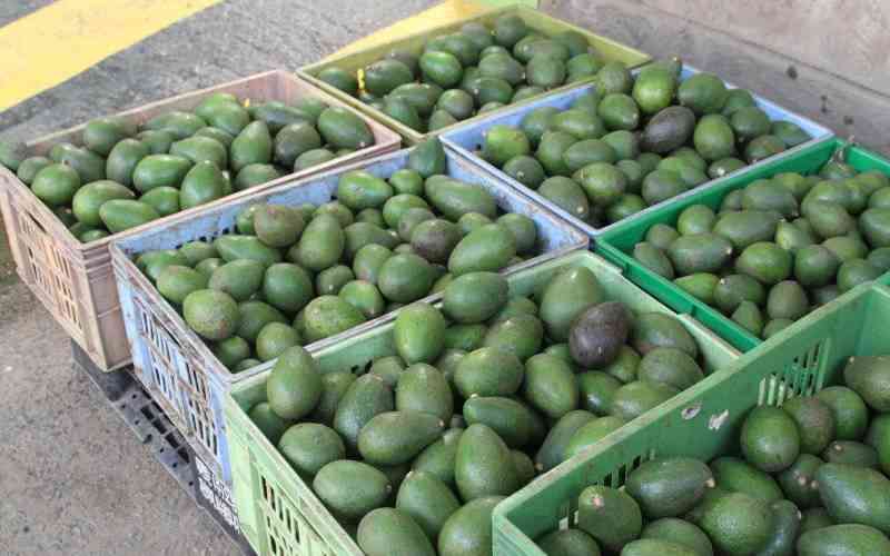 Regional States to reduce barriers holding back horticulture trade