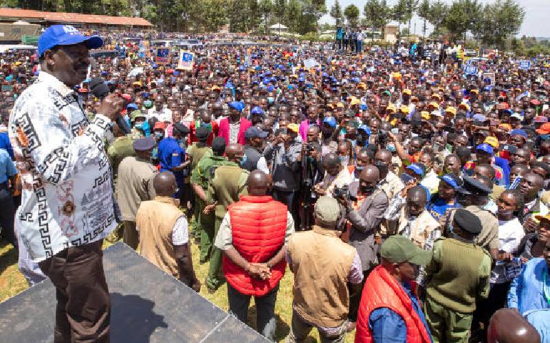 Jubilee team plans to reap big from Azimio's solid support base in Kisii