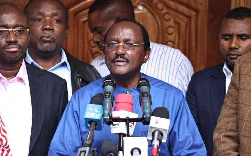 Kalonzo alleges State of plan ...