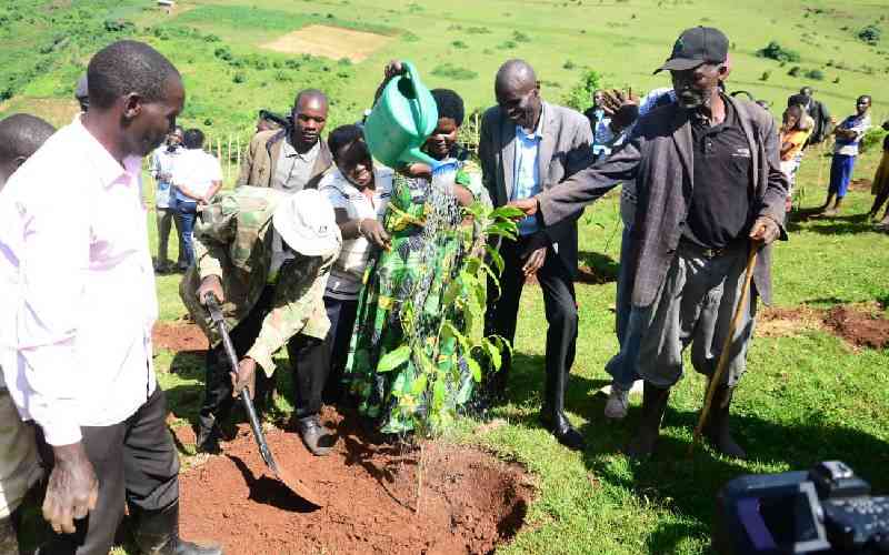 Initiative seeks to plant 600,000 trees to reclaim critical Cheptais water tower in Bungoma