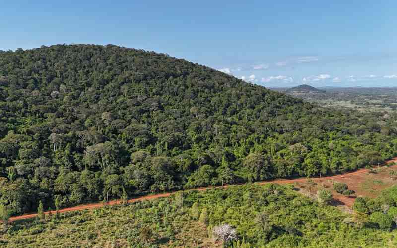 Global race for rare earths comes to Kenya's Mrima Hill