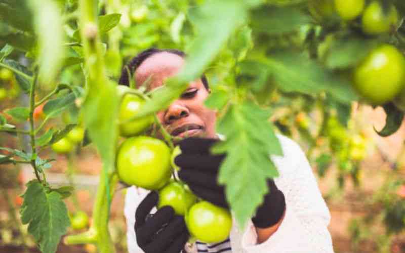 Traceability system to spur exports with digital fork-to-plate surveillance