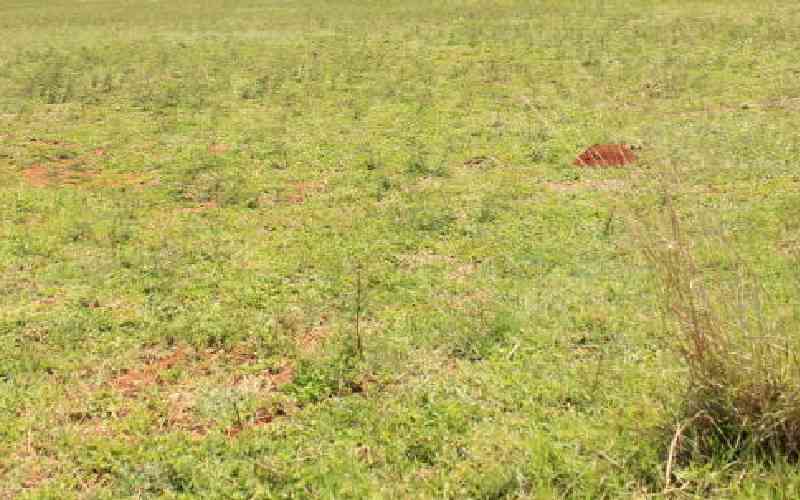 Agricultural Development Corporation recovers 6,000 acres of grabbed land