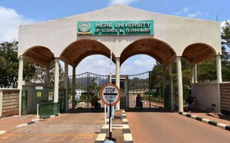 Diaspora PS launches German programme at Meru varsity
