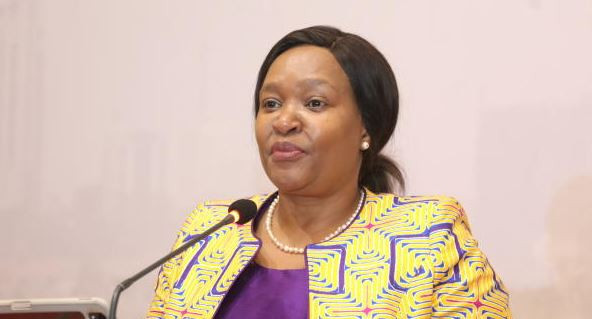 Tourism revenue climbs to Sh564 billion as visitor numbers surge