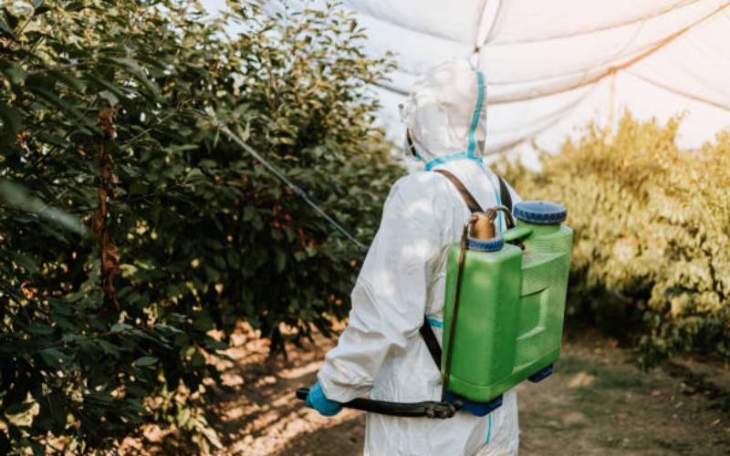 Law will help Kenyans address rising concerns over pesticides