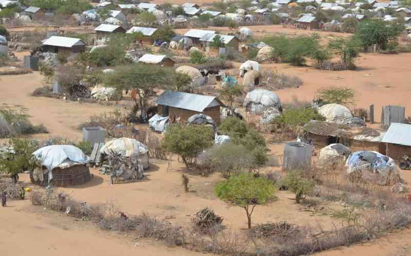 Between refuge and ruin: How Dadaab's survival battle is fuelling an eco crisis