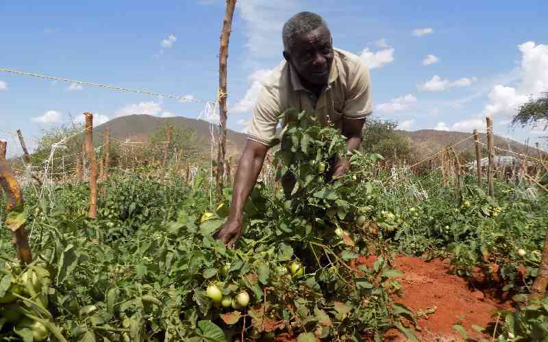 Kenyan startup wins global funding to help farmers fight crop losses