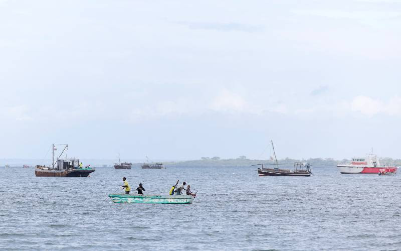 Global data declaration targets illegal fishing
