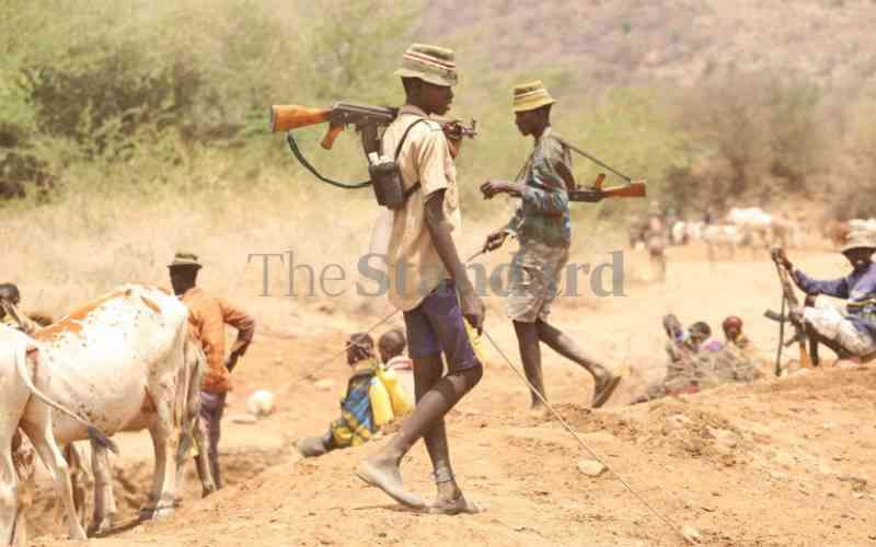 Senators raise concerns over insecurity in Northern Kenya