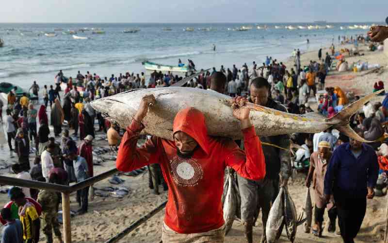 Letter From Mogadishu: Somalia in the throes of drought and hunger