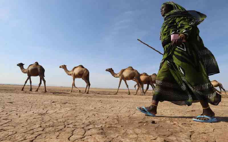 State should scale up medical response to drought-hit areas