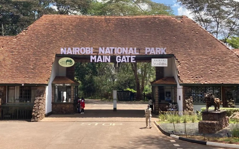 From River Road to Giraffe Manor, discovering a different Nairobi