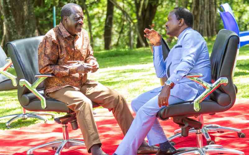 Raila succession: Scramble begins in Azimio and ODM