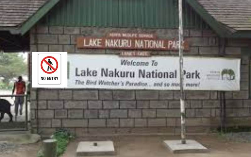 KWS cancels free entry to Lake Nakuru National Park